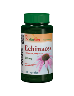 Vitaking Echinacea kasvirág...