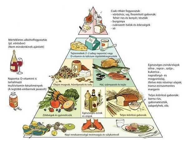 dash diéta piramis)