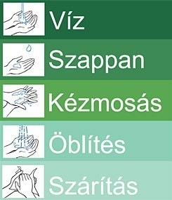 Közösségi higiénia - amikor már van beteg a családban (illusztráció1)